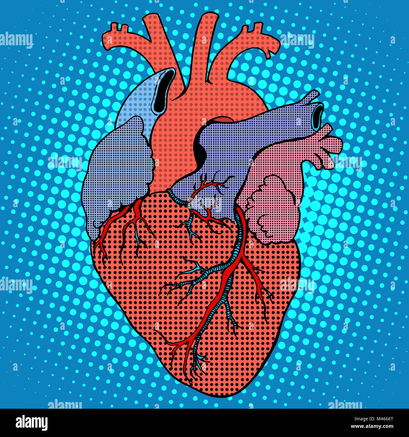 Anatomia del cuore umano in stile retrò Foto Stock