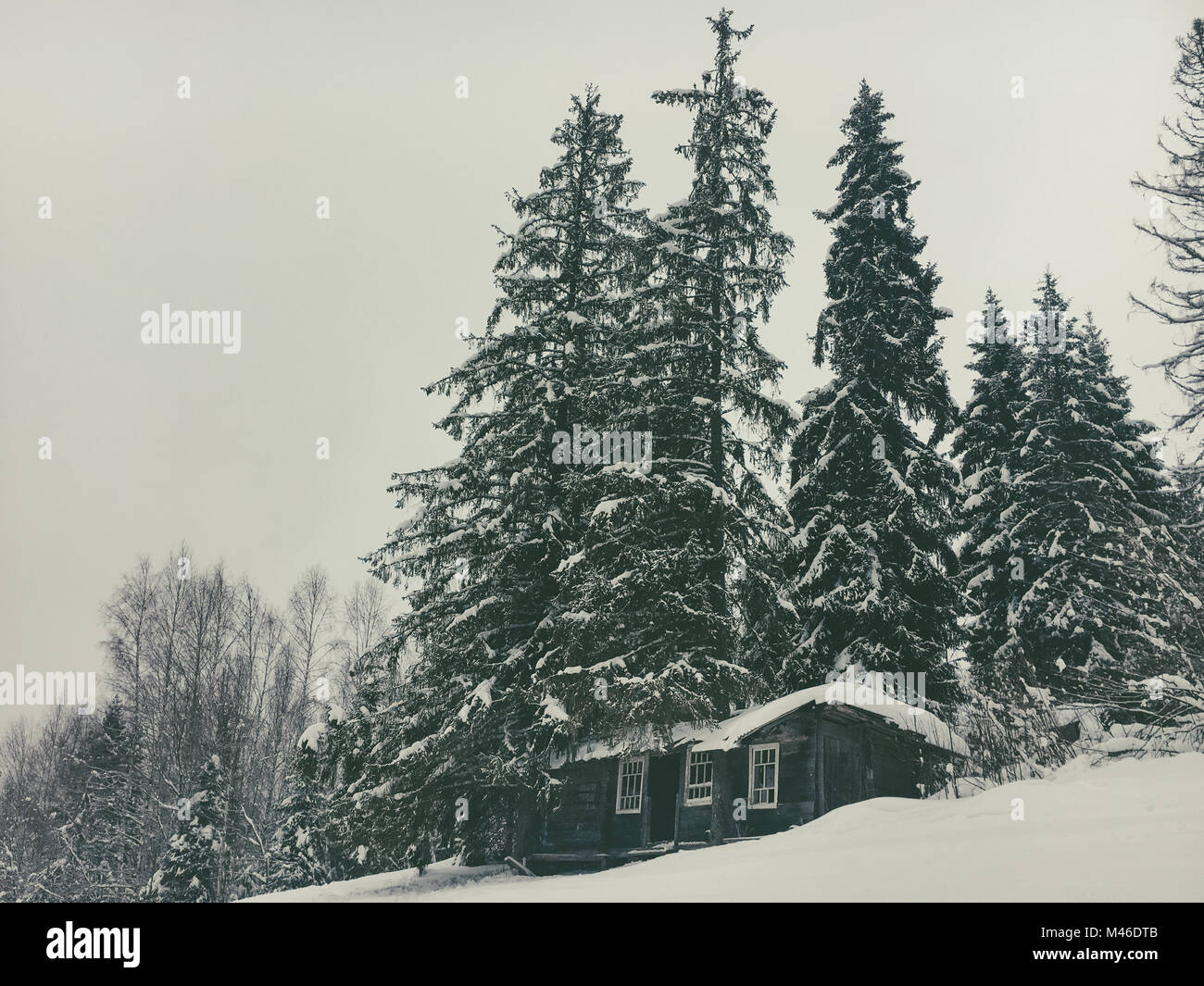 Paesaggio invernale nella foresta di conifere. Abbandonato il vecchio casa in legno, Forester baita in legno su un prato nevoso nei Carpazi in Ucraina nelle nebbiose nuvoloso meteo Foto Stock