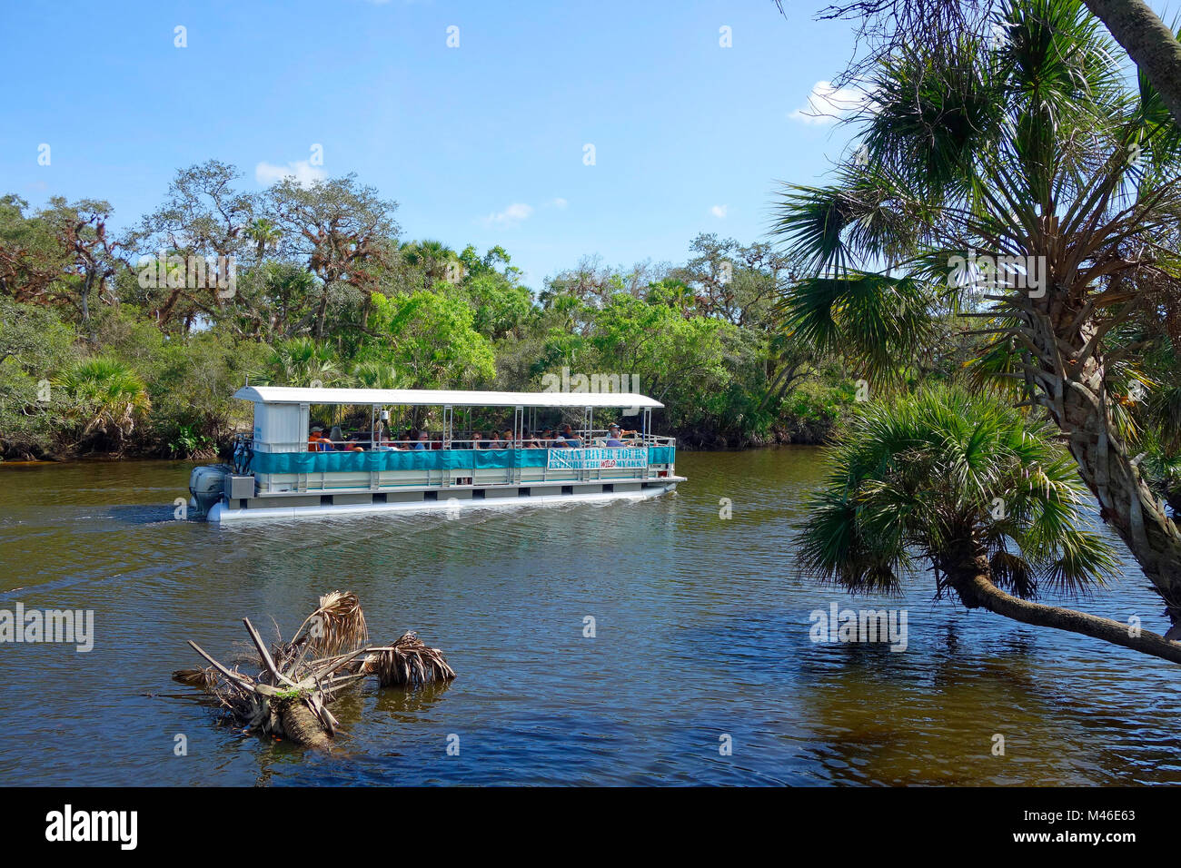 Un tour in barca sul Wild Myakka River, Southwest Florida, Stati Uniti d'America Foto Stock