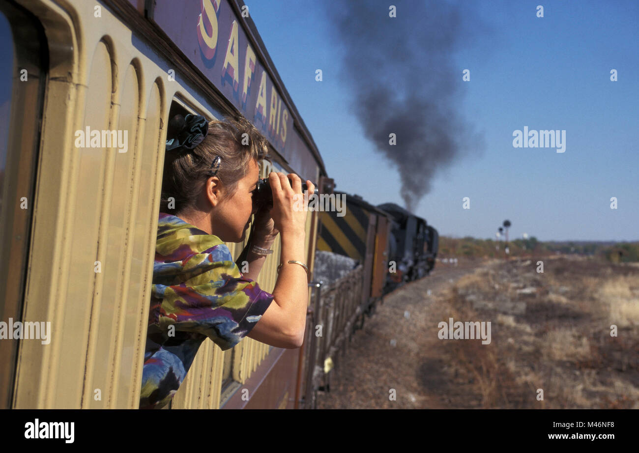 Lo Zimbabwe. Nei pressi di Bulawayo. Ferrovia safari. Treno a vapore. Donna che guarda fuori della finestra con il binocolo. Foto Stock