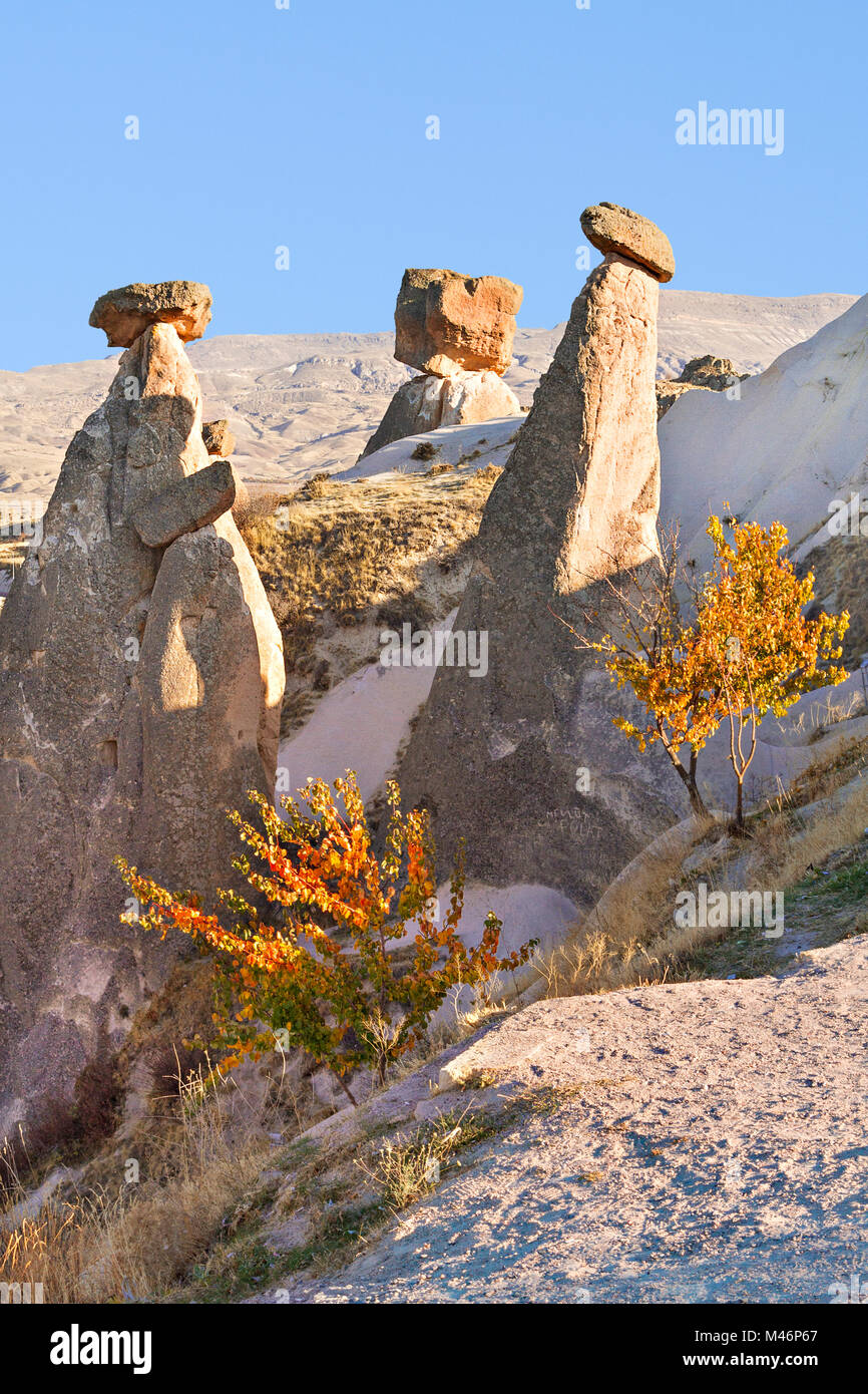Formazioni di roccia vulcanica e Camini di Fata in Cappadocia, Turchia. Foto Stock
