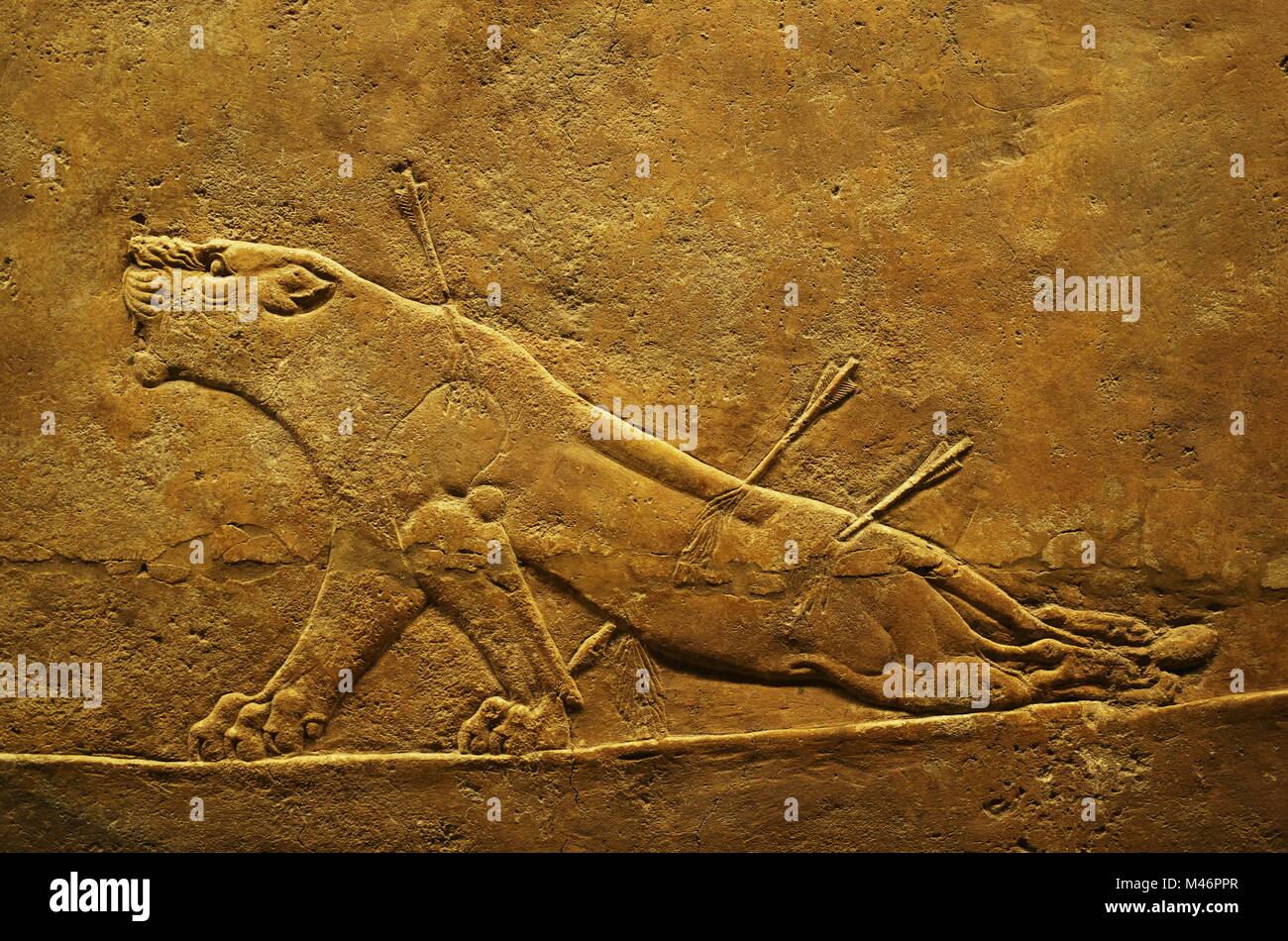 Parete assira arte sollievo di Lion scena di caccia al British Museum di Londra, Inghilterra, Regno Unito Foto Stock