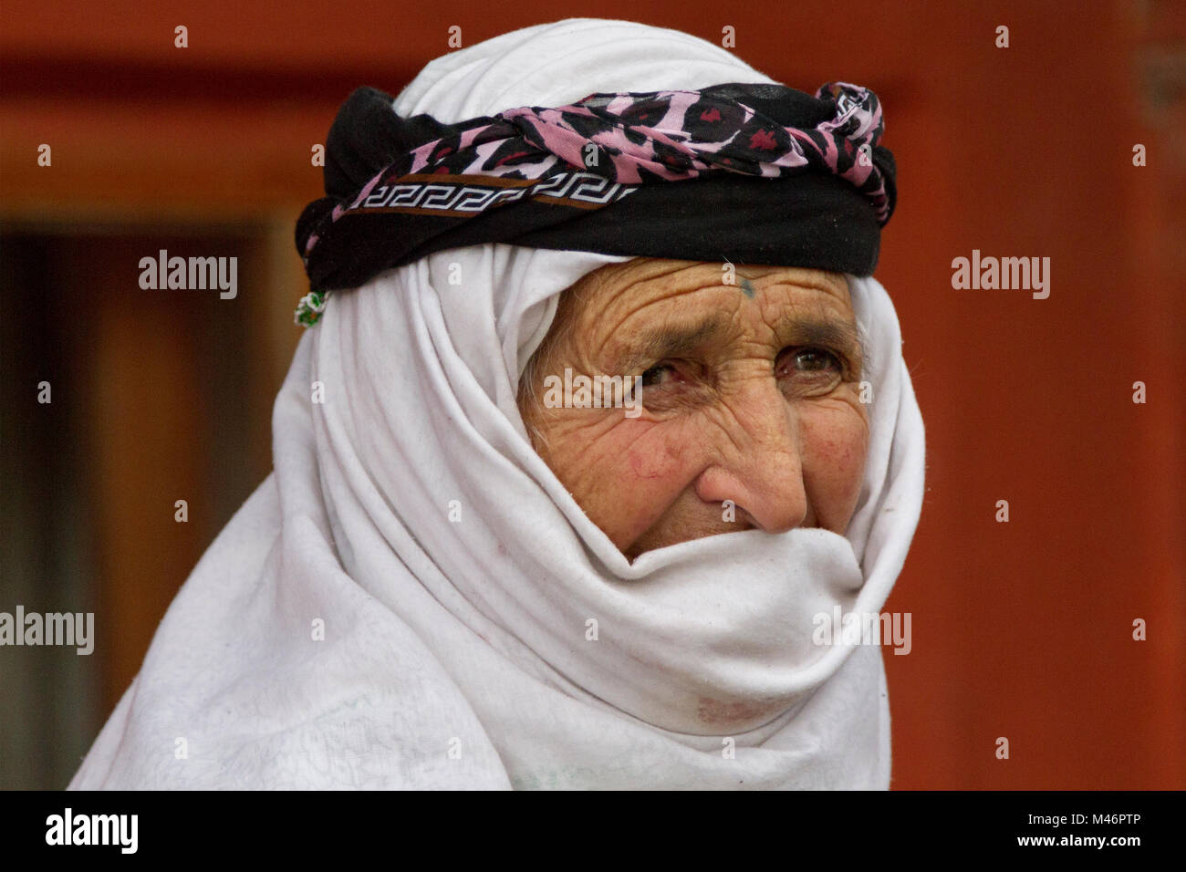 Donna curda nella provincia di Kars, Turchia. Foto Stock