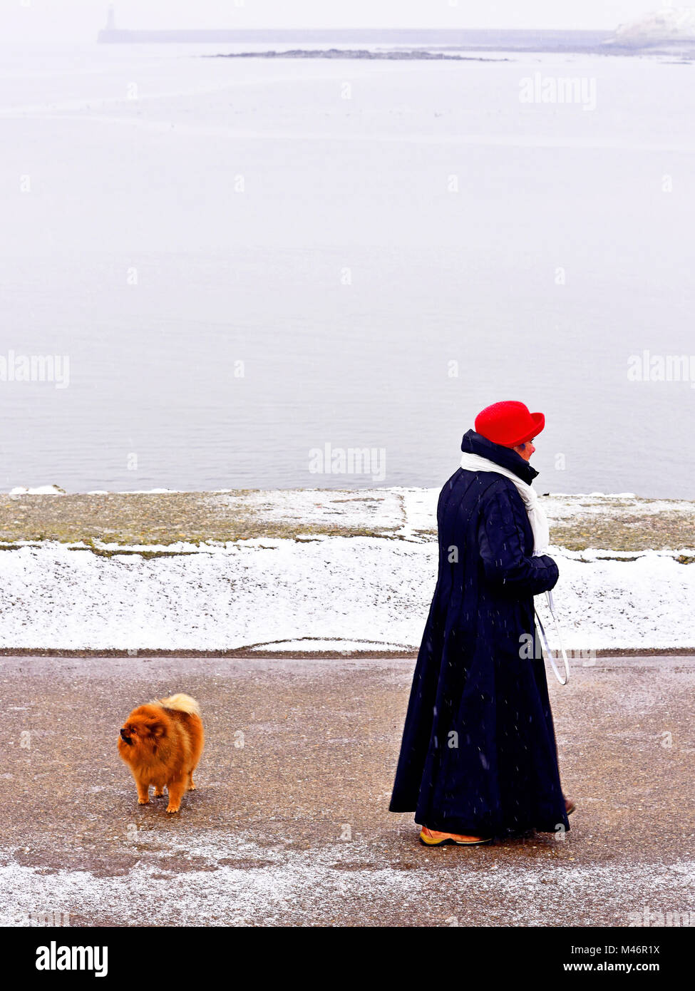 Signora dog walker nella neve a North Shields Foto Stock