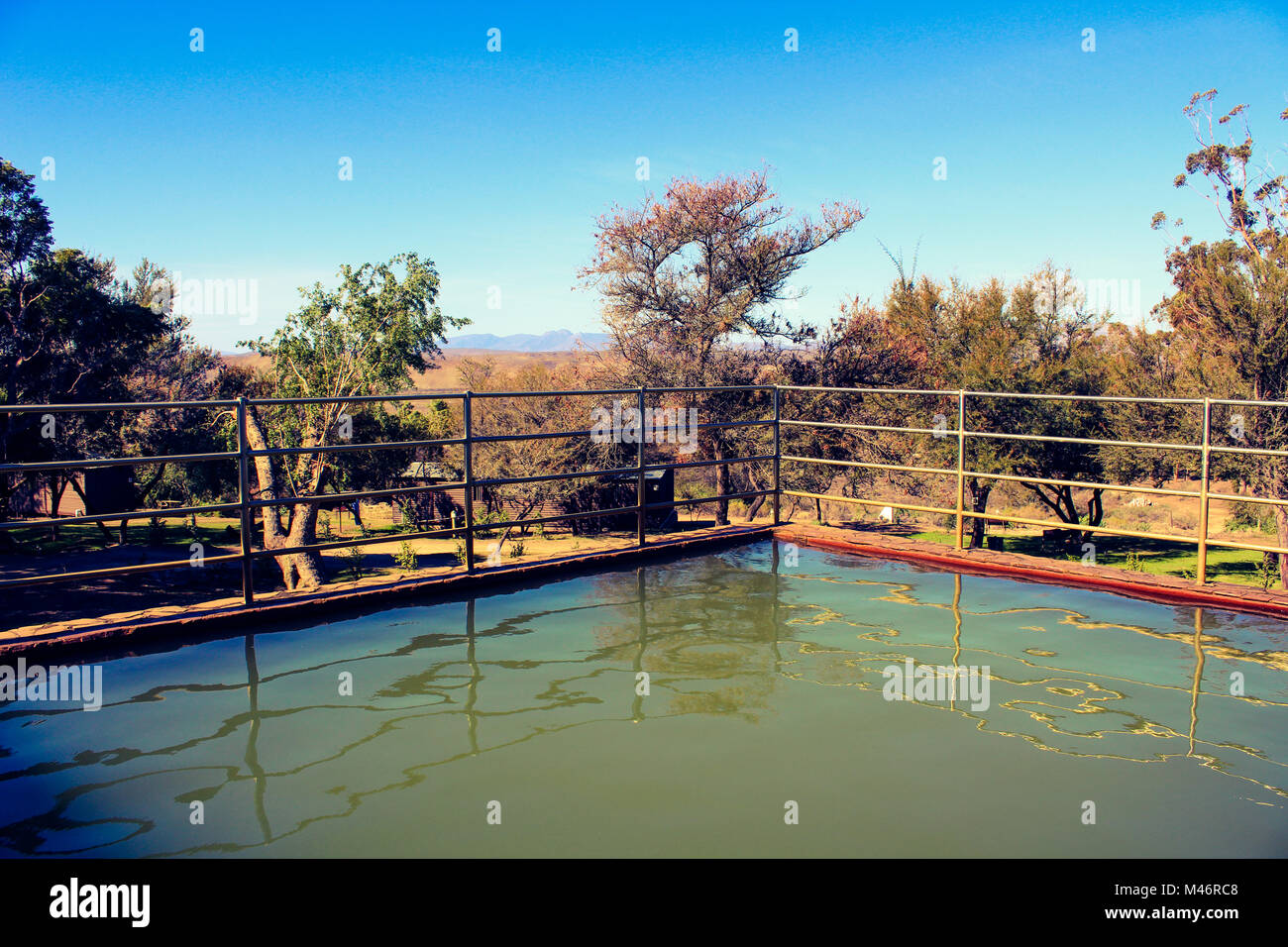 Una piscina tiepida riempito dal locale di acqua calda molle presso il campeggio Warmwaterbergspa in Klein Karoo, Sud Africa Foto Stock