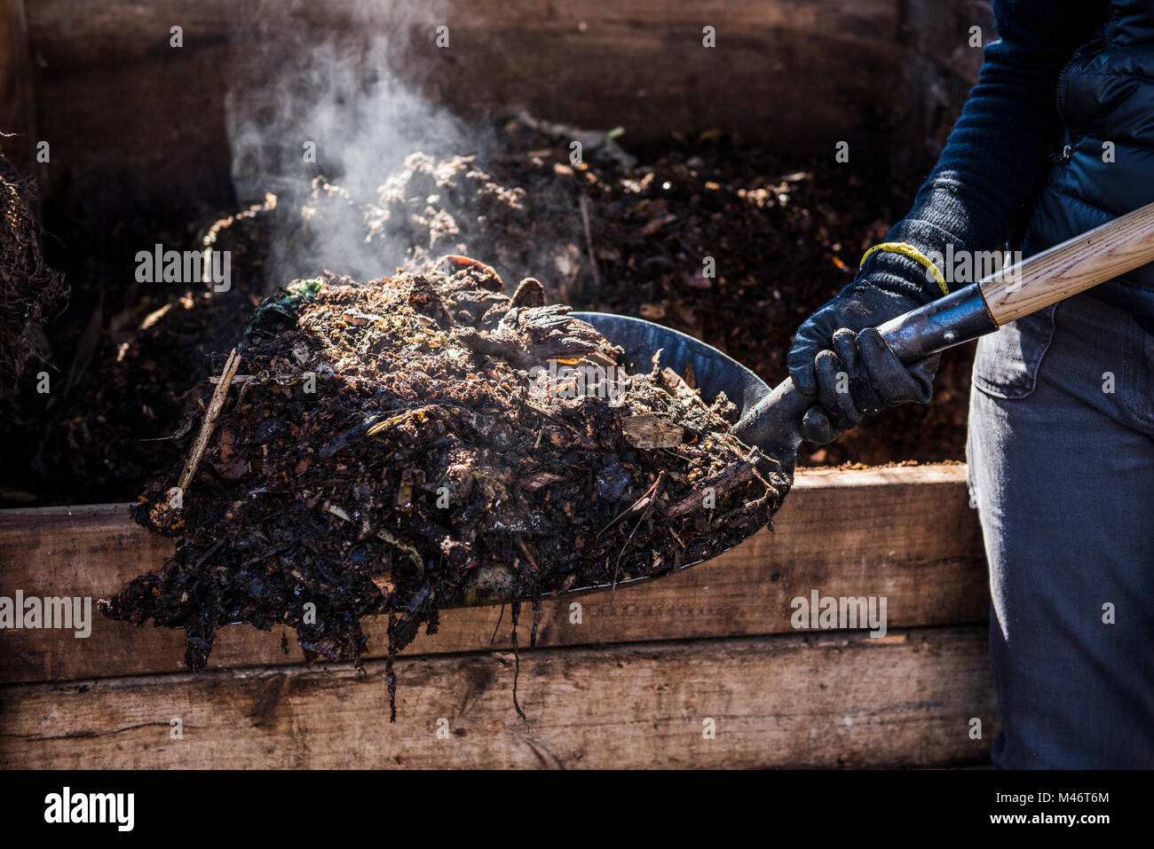 Il vapore caldo mentre si gira il compost bin. Foto Stock