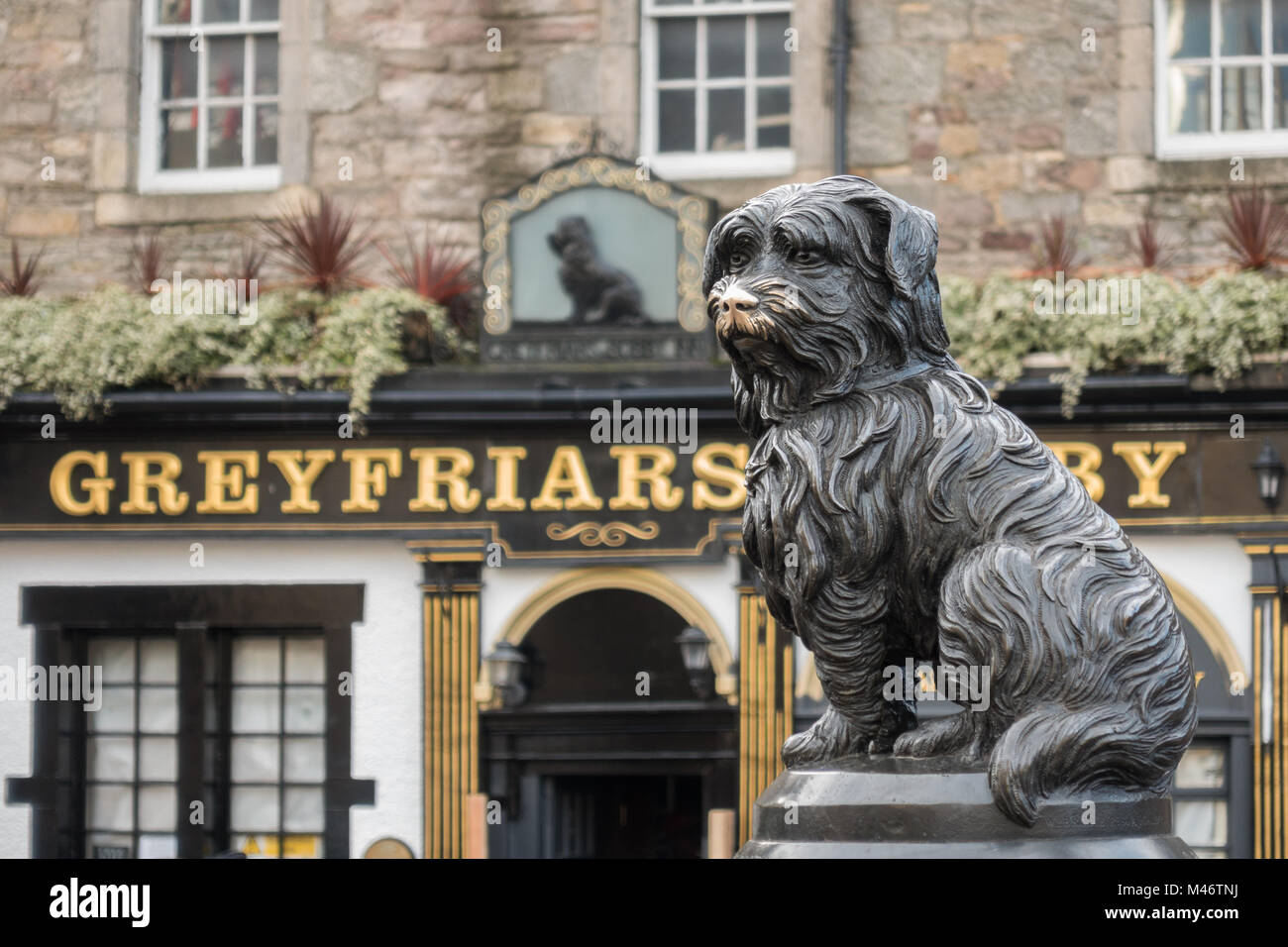 Greyfriars Bobby statua, Edimburgo, Scozia, Regno Unito Foto Stock