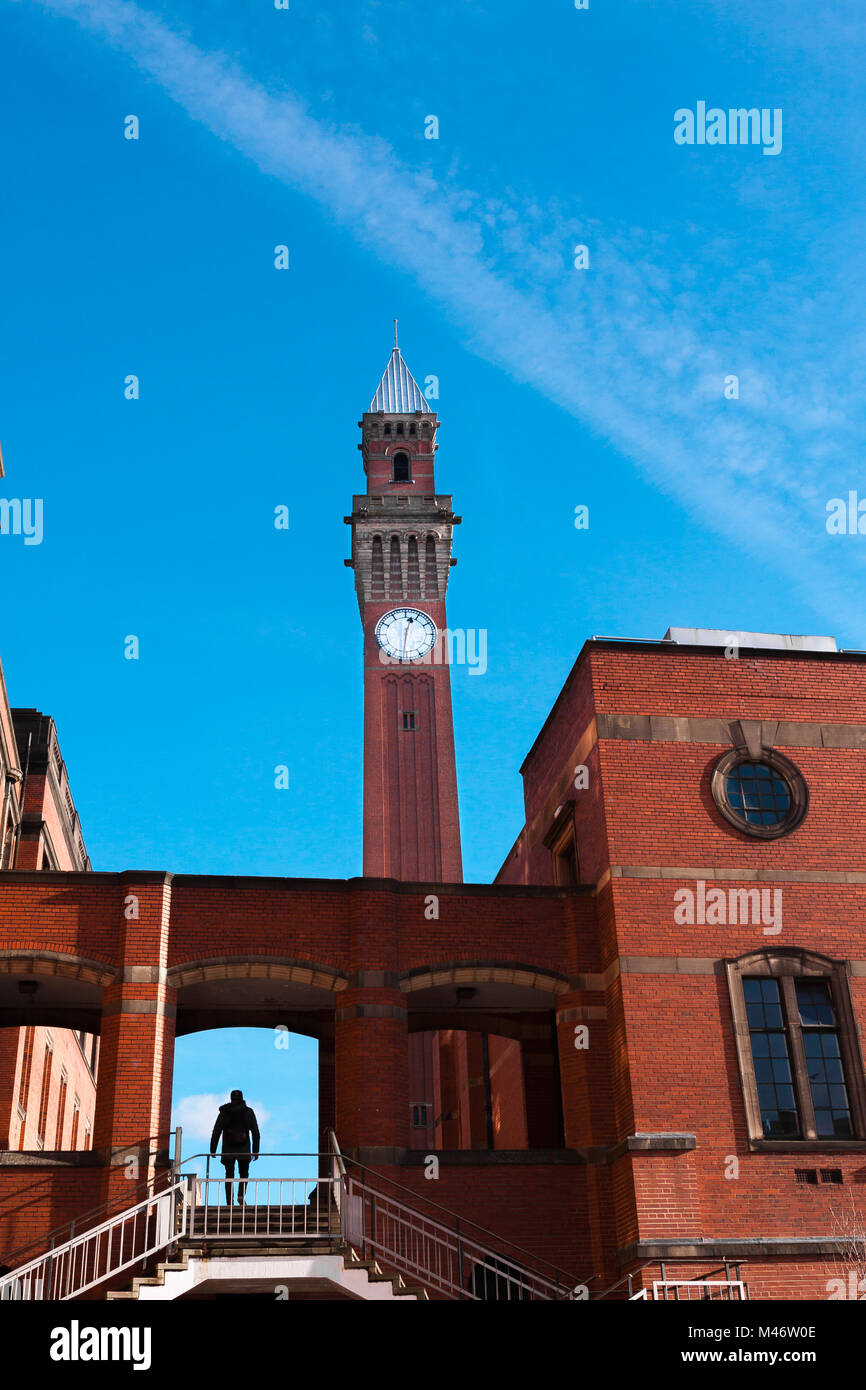 Joseph Chamberlain Memorial Clock Tower, Birmingham - 11 novembre 2016 Foto Stock