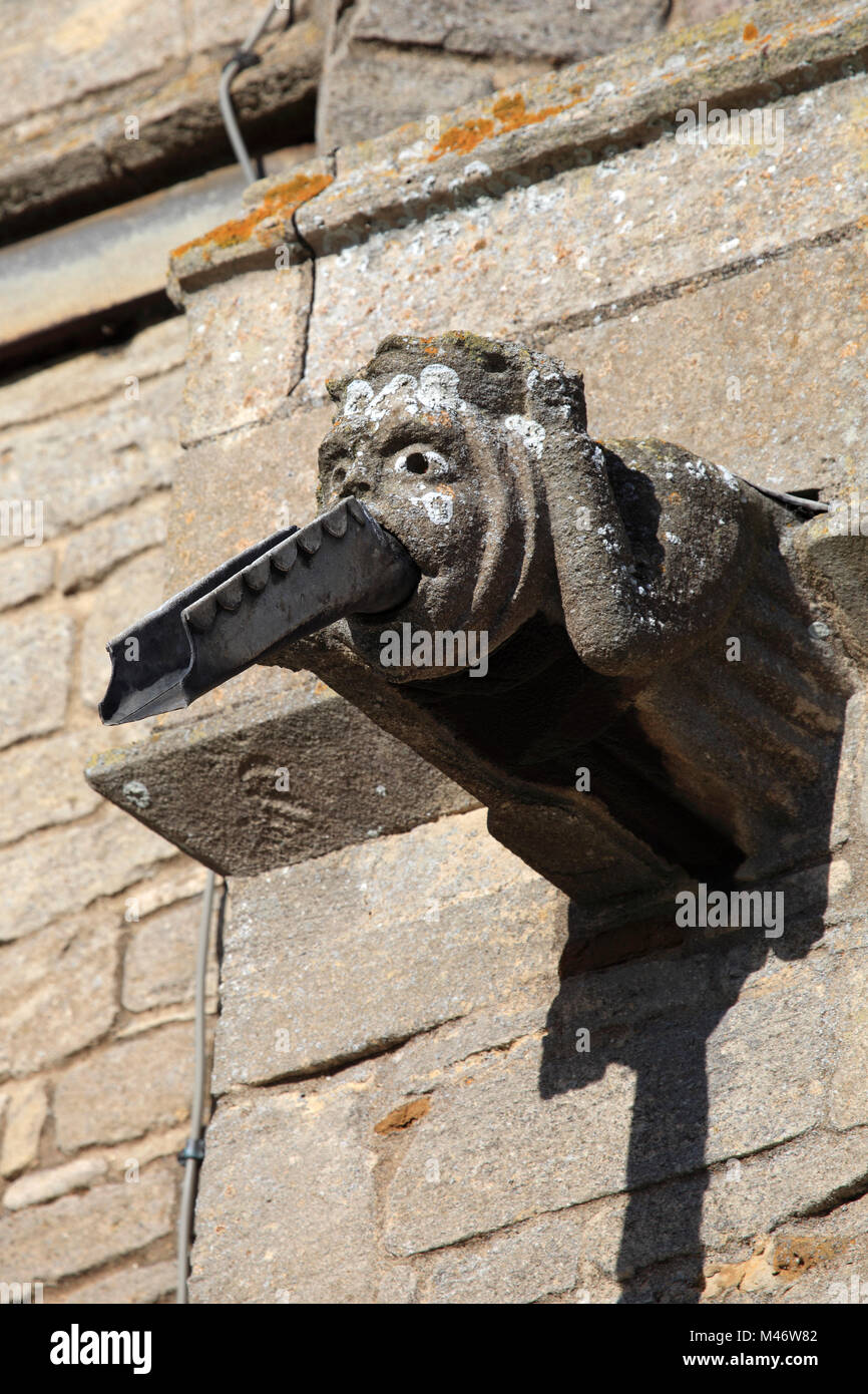 Un gargoyle di pietra su St Benedicts chiesa, Glinton village, Cambridgeshire, England, Regno Unito Foto Stock