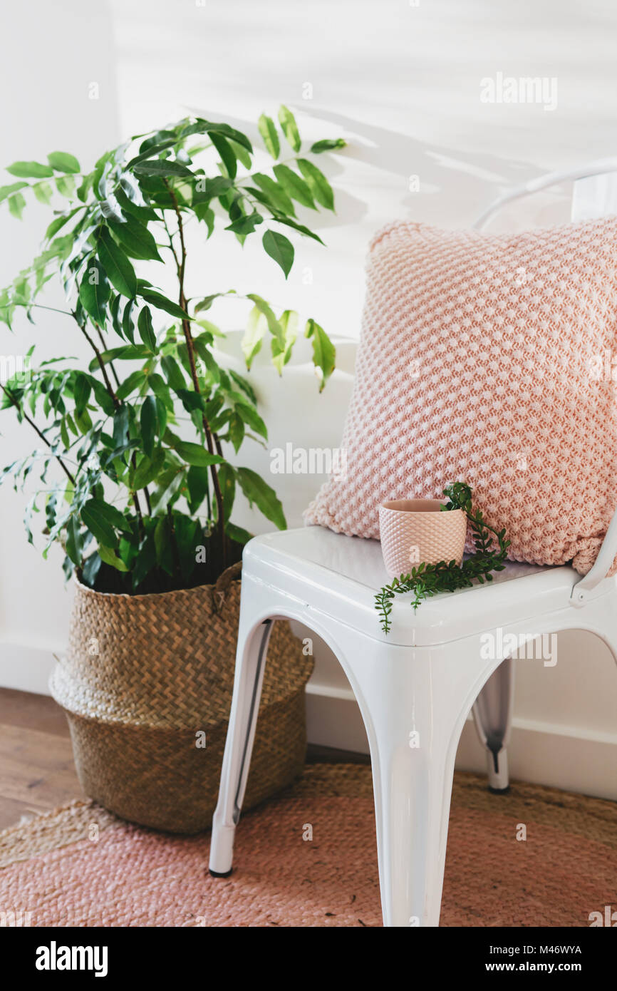 Bella rosa pallido cuscino e impianto pentola su una sedia bianca accanto a un impianto di pot Foto Stock