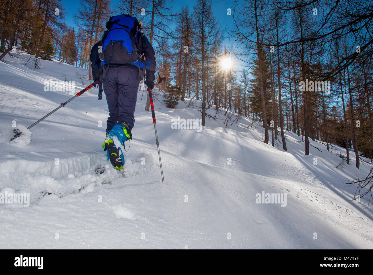 Ski de pedestri. La donna si inerpica nel bosco con il sole tra gli alberi. Foto Stock