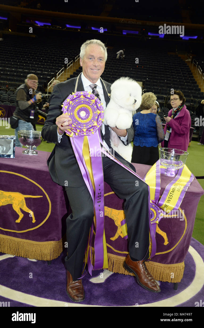 New York, Stati Uniti d'America. Xiii Febbraio, 2018. Best in Show vincitore Flynn, un Bichon Frise, pone per le foto a conclusione della 142th Westminster Kennel Club Dog Show presso il molo il 13 febbraio 2018 nella città di New York. Lo spettacolo è programmato per vedere 2,882 cani provenienti da tutti i 50 membri di prendere parte al concorso di quest'anno. Credito: Hoo Me.Com/Media punzone/Alamy Live News Foto Stock