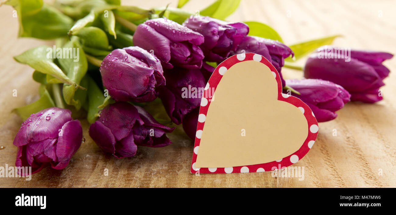 Tulipani viola con cuore scheda su uno sfondo di legno. Foto Stock