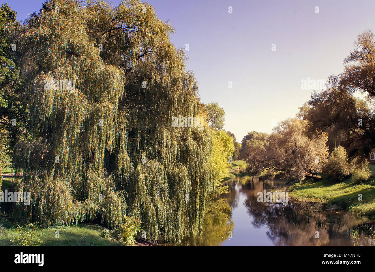 Paesaggio: piccolo fiume e gli alberi della banca. Foto Stock