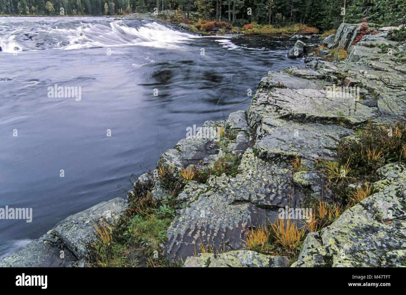 White Water Rapids di Groevlan in Dalarnas Laen Foto Stock