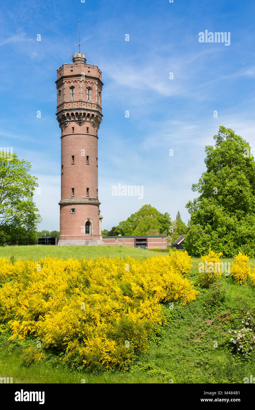Pietra olandese water tower con fiore fiori giallo Foto Stock