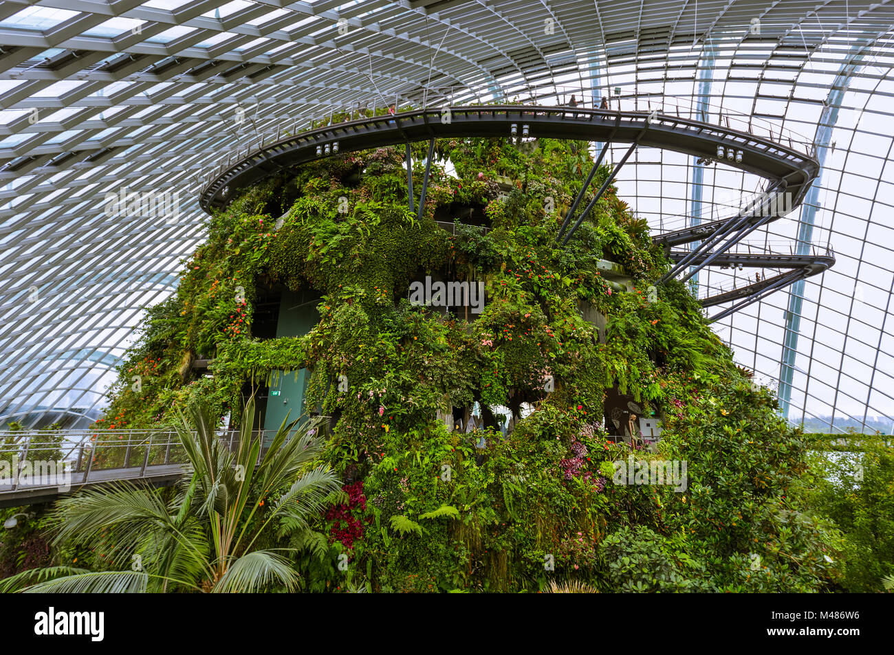 Cloud Forest cupola a giardini dalla Baia di Singapore Foto Stock