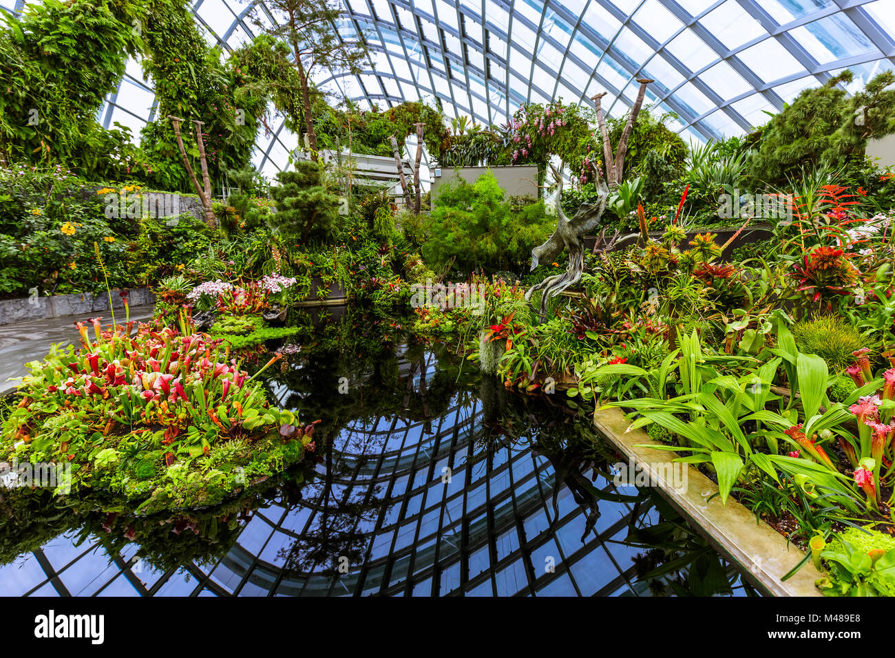 Cloud Forest cupola a giardini dalla Baia di Singapore Foto Stock