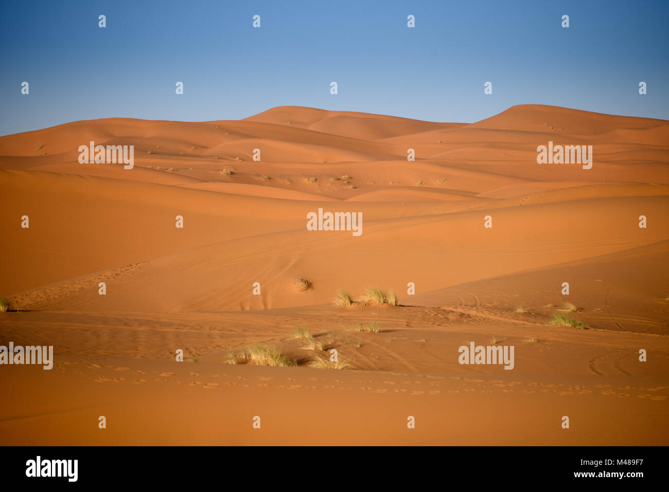 Dune, Marocco, il Deserto del Sahara Foto Stock