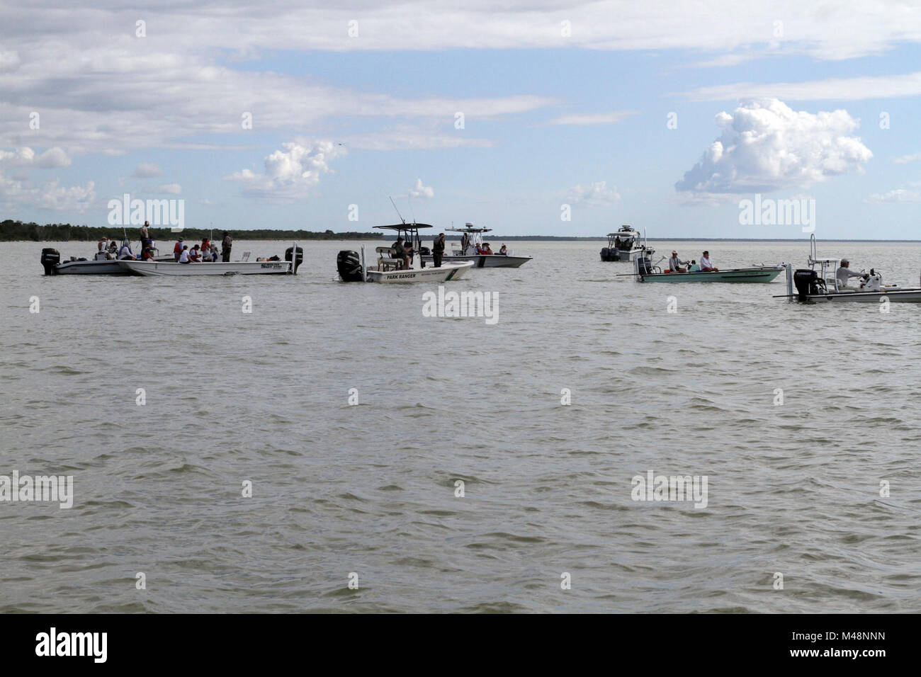 Multi-agenzia-e-volontari-hearding-le balene. Foto Stock