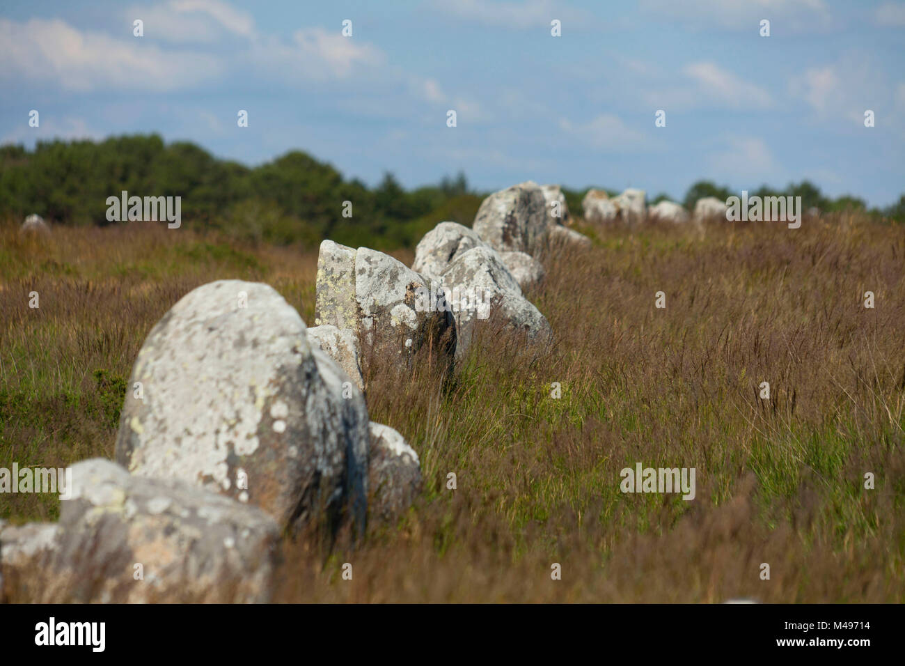 Il Carnac allineamenti di menhir. Linee di standing pietre, granito. (Non disponibile per la produzione di cartolina) Foto Stock