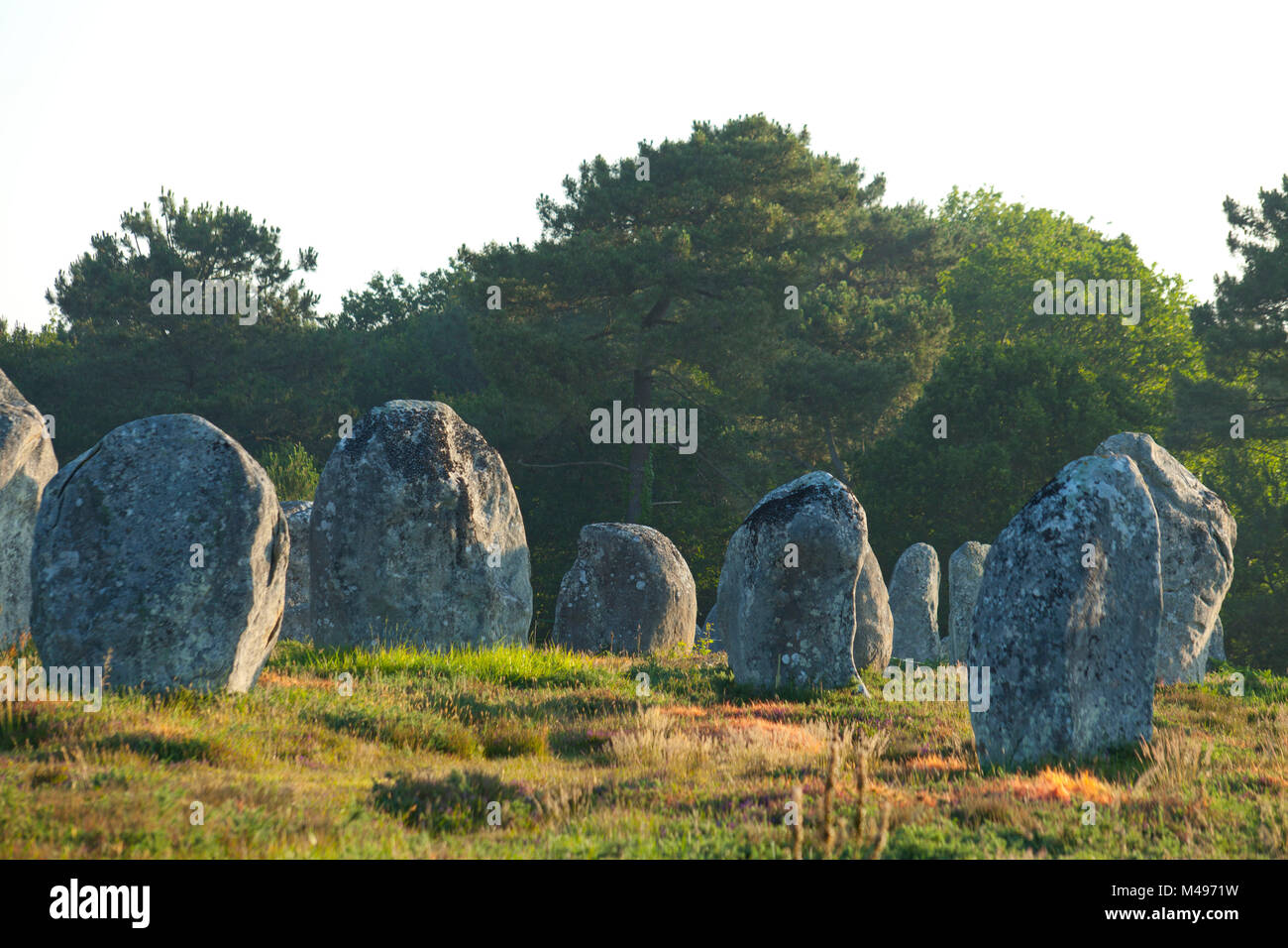 Il Carnac allineamenti di menhir. Linee di standing pietre, granito. (Non disponibile per la produzione di cartolina) Foto Stock