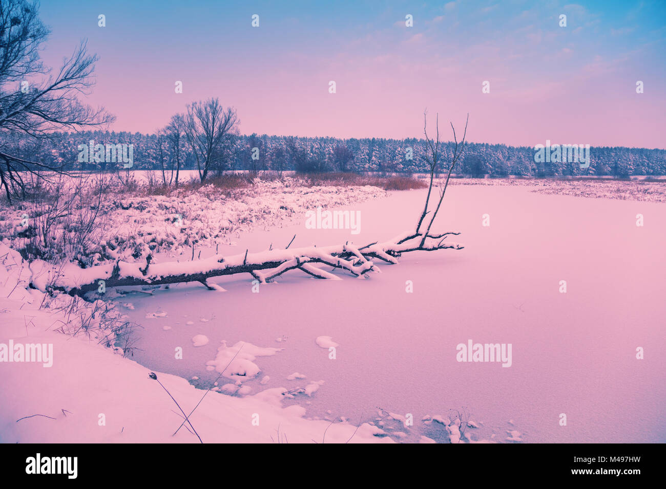 Innevato paesaggio rurale. Albero caduto nel lago ghiacciato Foto Stock