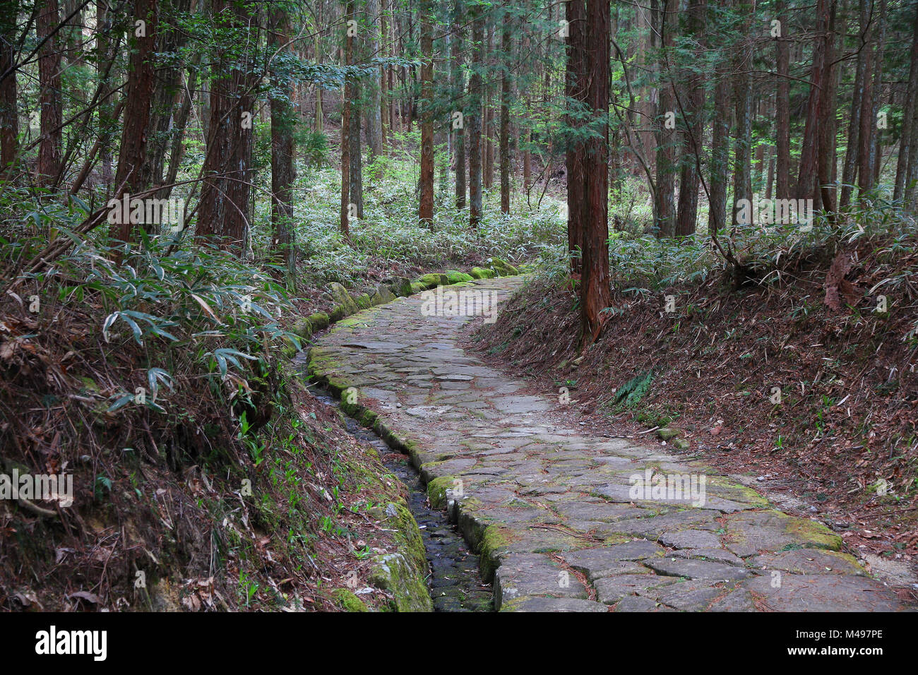 Giappone - famoso sentiero Nakasendo nei pressi di Magome. Il vecchio percorso centinaia di anni. Foto Stock