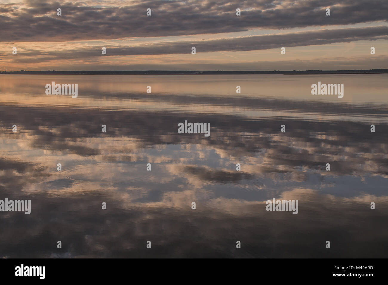 Sunrise nel Bodden (penisola Fischland-Darss-Zingst, nato, Germania) Foto Stock