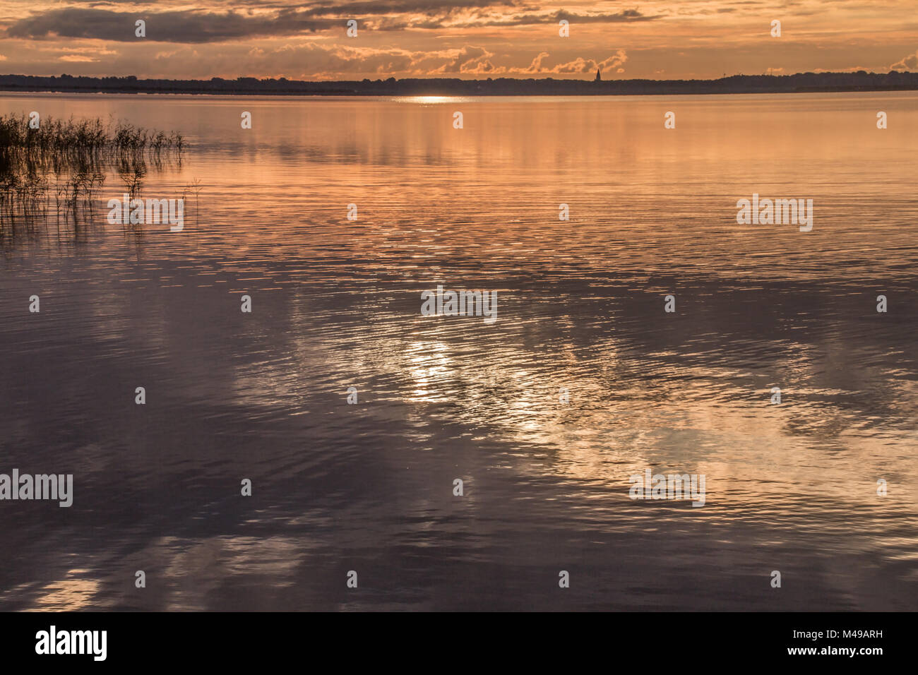 Sunrise nel Bodden (penisola Fischland-Darss-Zingst, nato, Germania) Foto Stock