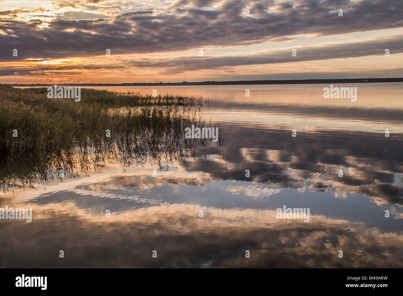 Sunrise nel Bodden (penisola Fischland-Darss-Zingst, nato, Germania) Foto Stock
