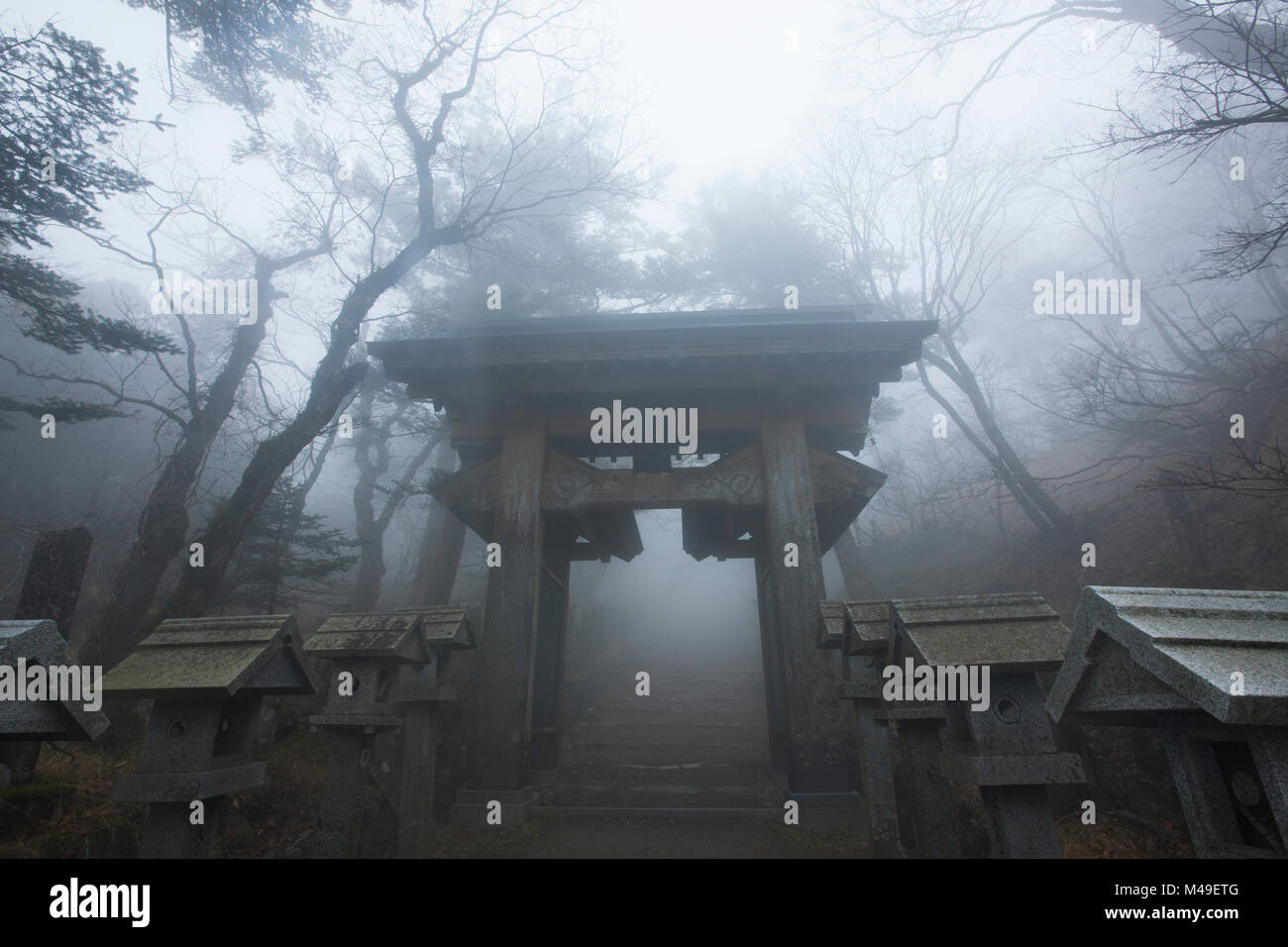Ingresso al Omine Shan tempio costruito sulla cima della montagna Sanjogatake, Yoshino-Kumano National Park, la regione di Kansai, Giappone, novembre 2008. Foto Stock
