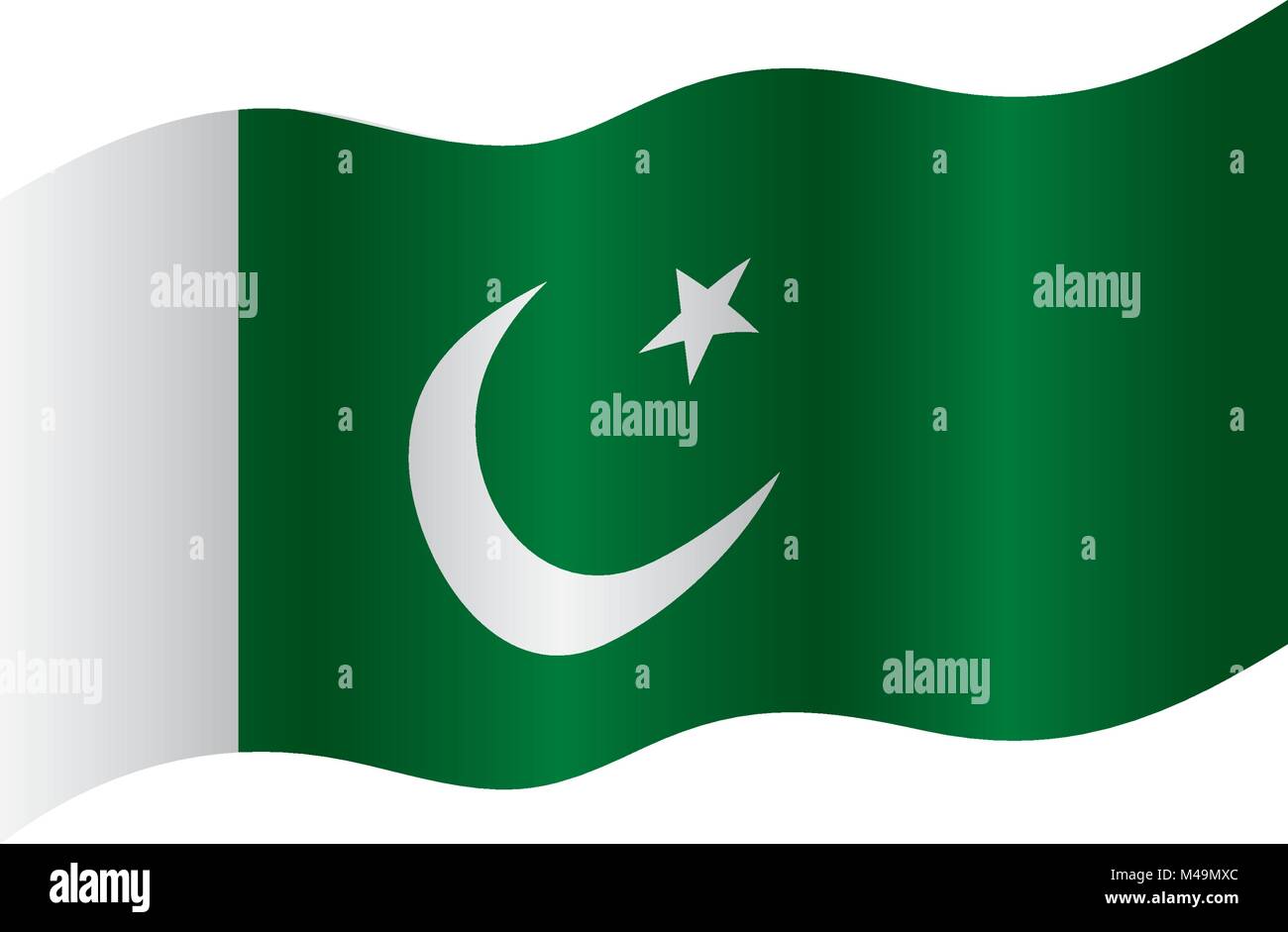 Il Pakistan bandiera, illustrazione vettoriale Illustrazione Vettoriale