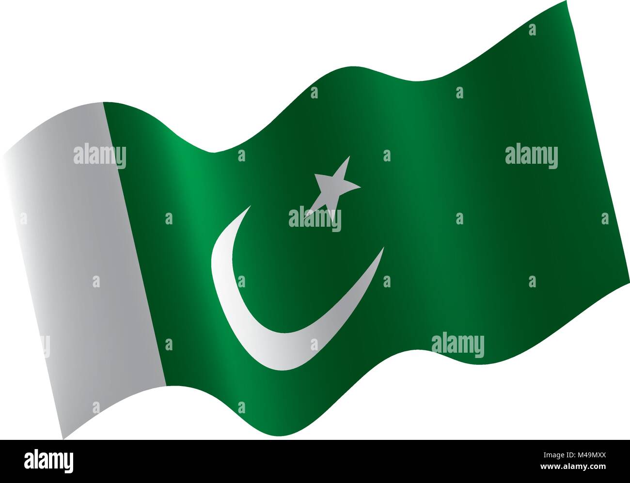 Il Pakistan bandiera, illustrazione vettoriale Illustrazione Vettoriale