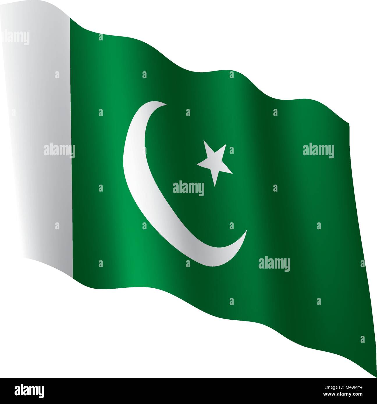 Il Pakistan bandiera, illustrazione vettoriale Illustrazione Vettoriale