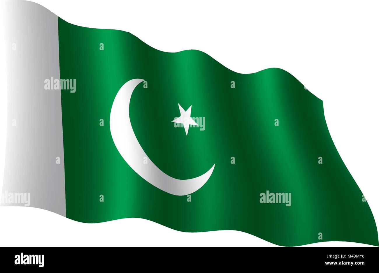 Il Pakistan bandiera, illustrazione vettoriale Illustrazione Vettoriale