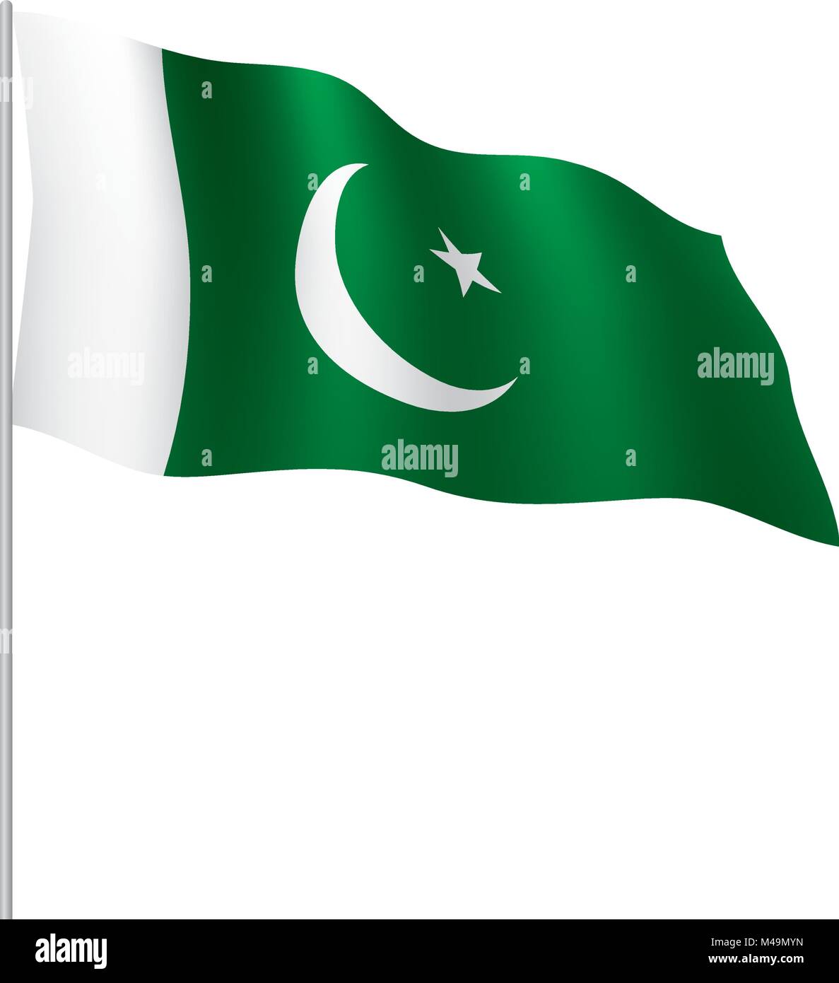 Il Pakistan bandiera, illustrazione vettoriale Illustrazione Vettoriale