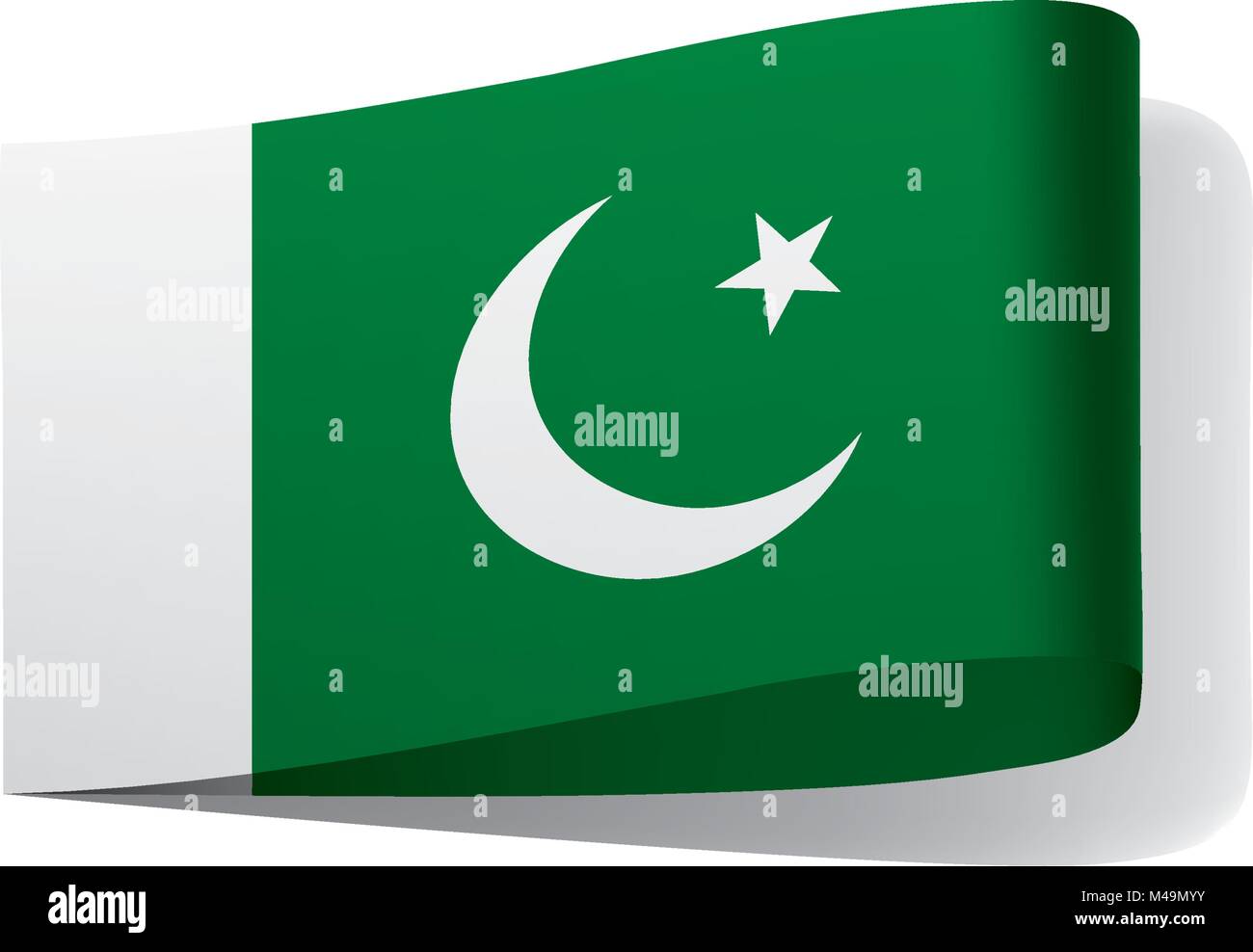 Il Pakistan bandiera, illustrazione vettoriale Illustrazione Vettoriale