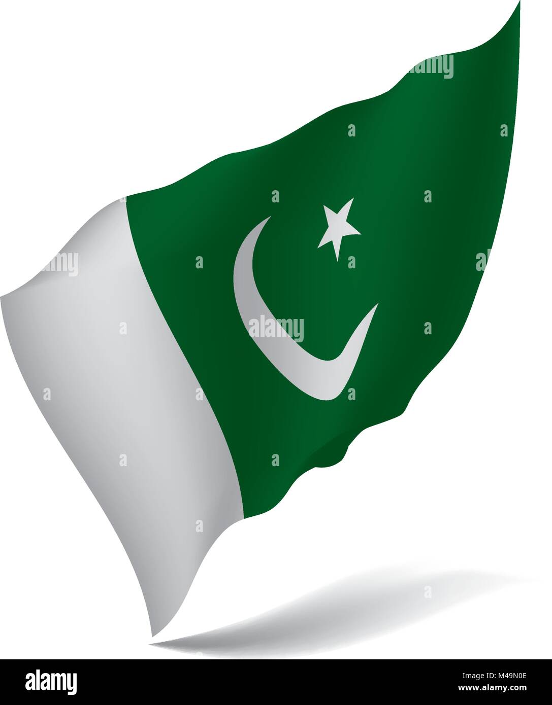 Il Pakistan bandiera, illustrazione vettoriale Illustrazione Vettoriale