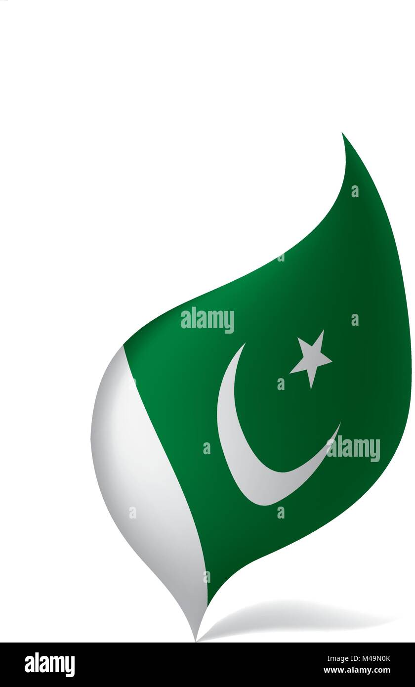 Il Pakistan bandiera, illustrazione vettoriale Illustrazione Vettoriale