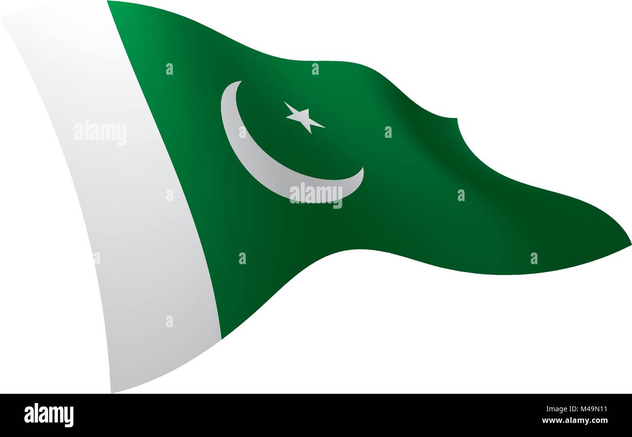 Il Pakistan bandiera, illustrazione vettoriale Illustrazione Vettoriale