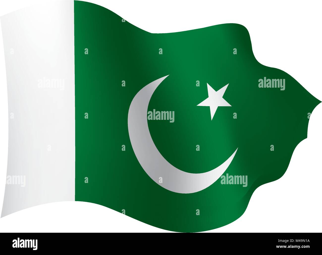 Il Pakistan bandiera, illustrazione vettoriale Illustrazione Vettoriale