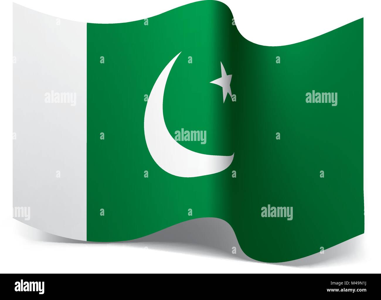 Il Pakistan bandiera, illustrazione vettoriale Illustrazione Vettoriale