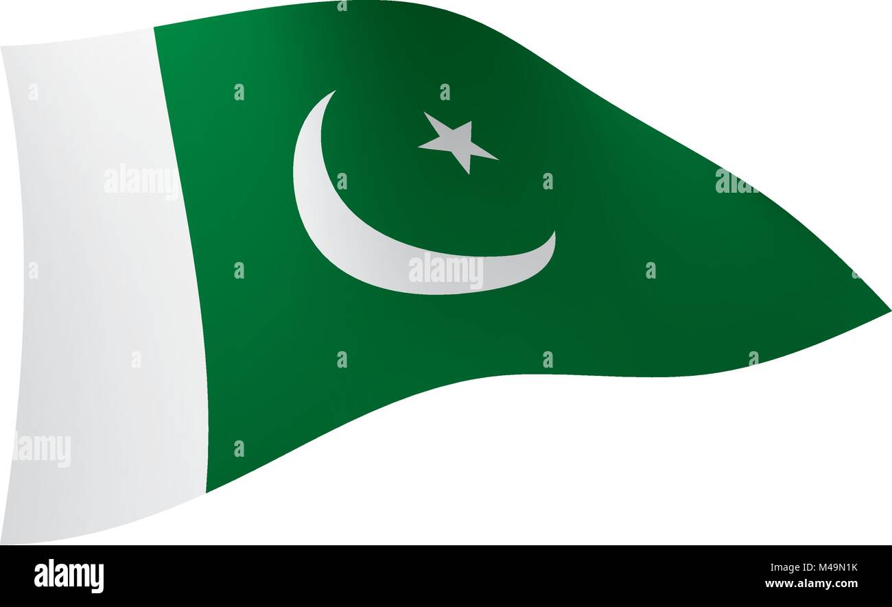 Il Pakistan bandiera, illustrazione vettoriale Illustrazione Vettoriale