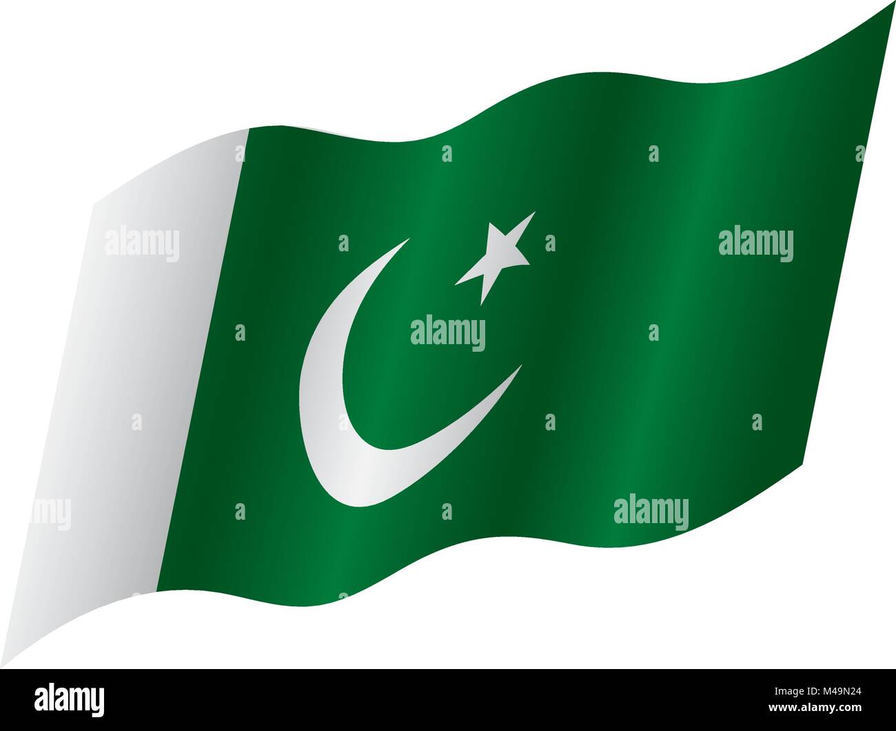 Il Pakistan bandiera, illustrazione vettoriale Illustrazione Vettoriale