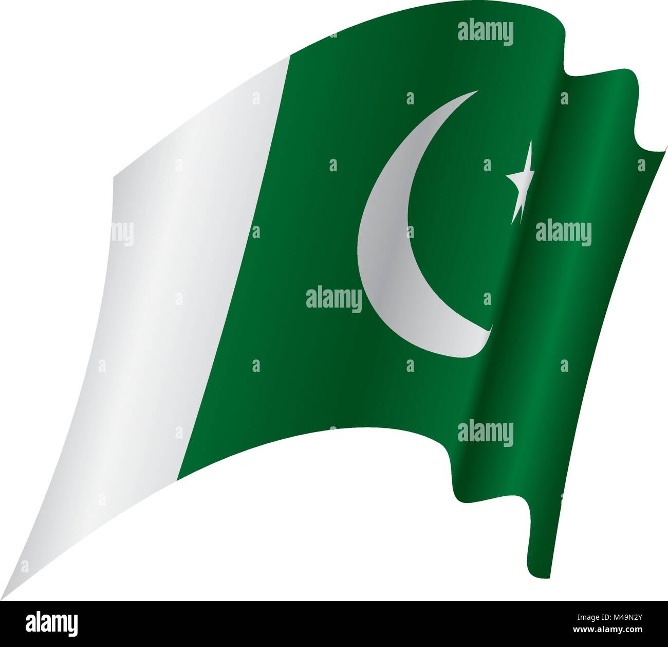 Il Pakistan bandiera, illustrazione vettoriale Illustrazione Vettoriale