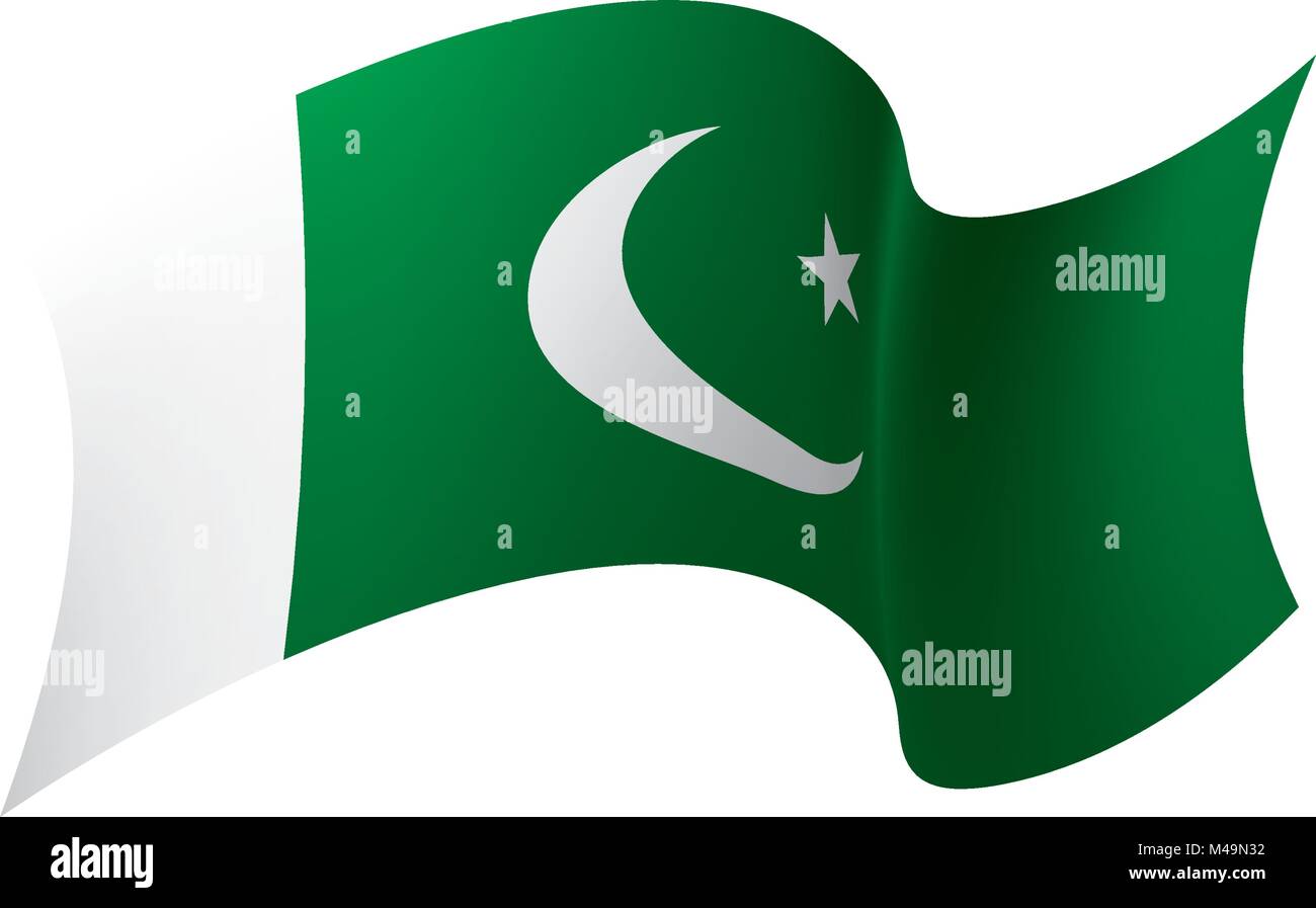 Il Pakistan bandiera, illustrazione vettoriale Illustrazione Vettoriale