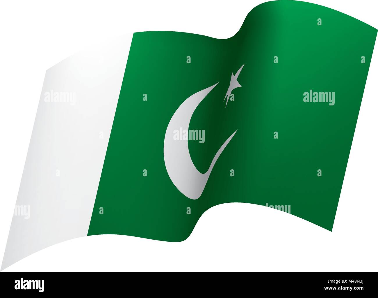 Il Pakistan bandiera, illustrazione vettoriale Illustrazione Vettoriale