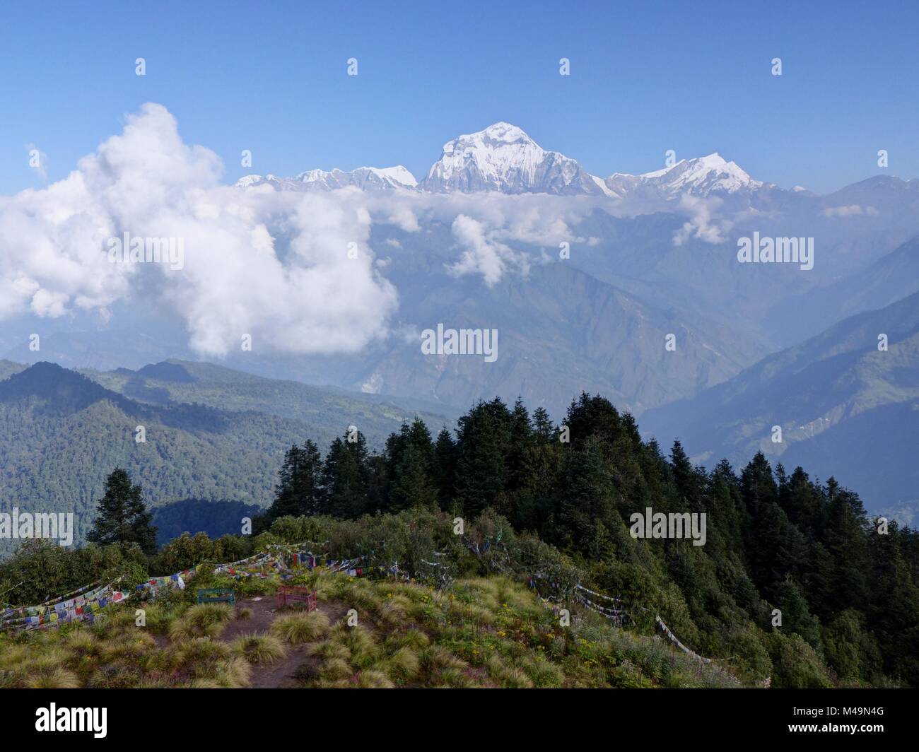 Gamma Dhaulagiri da Poon Hill - uno dei più visitati himalayana punti di vista in Nepal, in vista di Snow capped Himalaya, Circuito di Annapurna Foto Stock