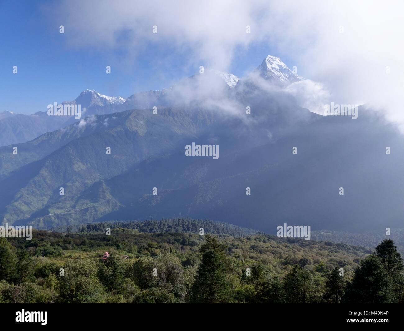 Catena hannapurna da Poon Hill - uno dei più visitati himalayana punti di vista in Nepal, in vista di Snow capped Himalaya Foto Stock